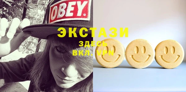 ECSTASY Богородицк