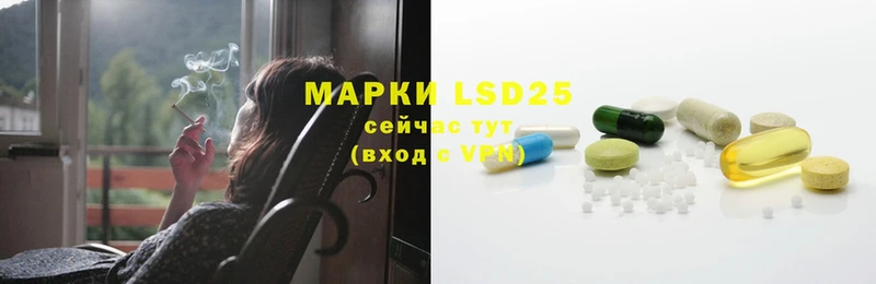 блэк спрут   Буинск  LSD-25 экстази ecstasy 